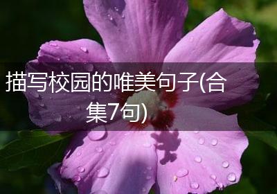 描写校园的唯美句子(合集7句)