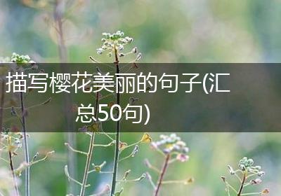 描写樱花美丽的句子(汇总50句)