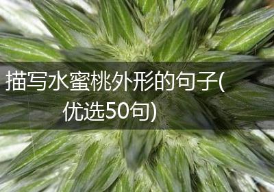 描写水蜜桃外形的句子(优选50句)