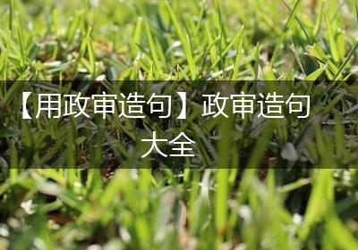 【用政审造句】政审造句大全