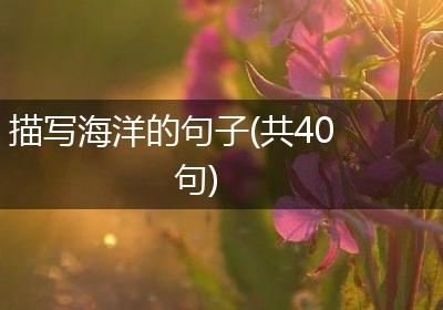 描写海洋的句子(共40句)