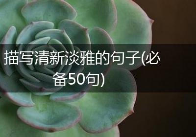 描写清新淡雅的句子(必备50句)