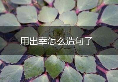 用出幸怎么造句子
