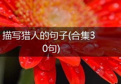 描写猎人的句子(合集30句)