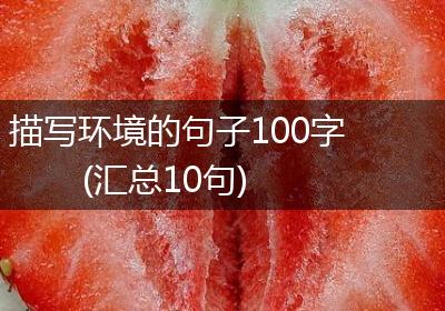 描写环境的句子100字(汇总10句)