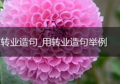 转业造句_用转业造句举例