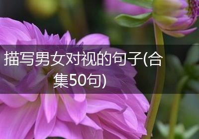 描写男女对视的句子(合集50句)