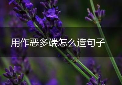 用作恶多端怎么造句子