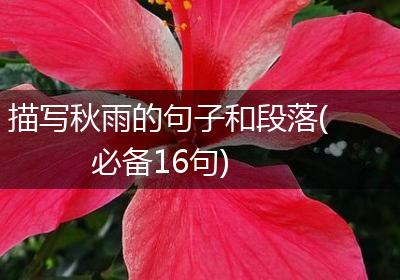 描写秋雨的句子和段落(必备16句)