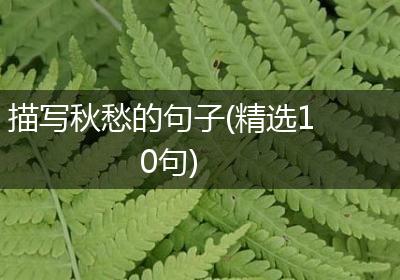 描写秋愁的句子(精选10句)