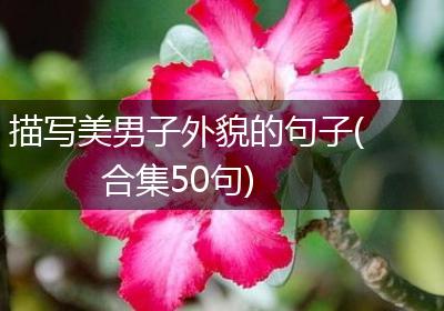 描写美男子外貌的句子(合集50句)