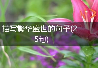 描写繁华盛世的句子(25句)