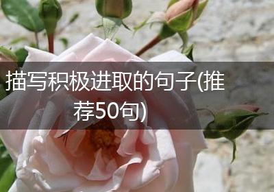 描写积极进取的句子(推荐50句)