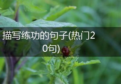 描写练功的句子(热门20句)