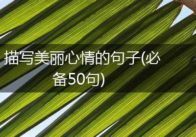 描写美丽心情的句子(必备50句)