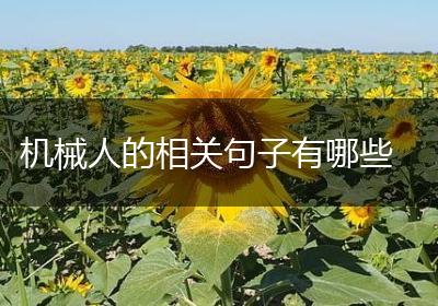 机械人的相关句子有哪些