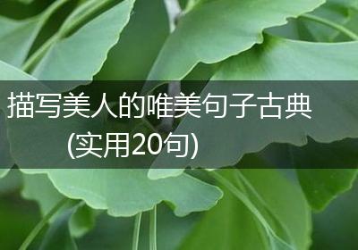描写美人的唯美句子古典(实用20句)
