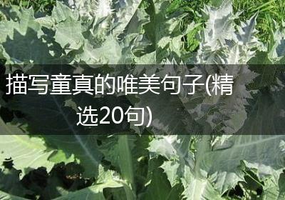 描写童真的唯美句子(精选20句)
