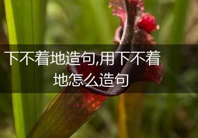 下不着地造句,用下不着地怎么造句