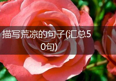描写荒凉的句子(汇总50句)