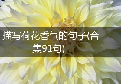 描写荷花香气的句子(合集91句)