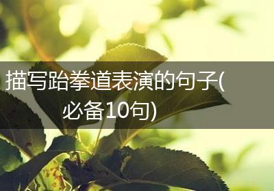 描写跆拳道表演的句子(必备10句)