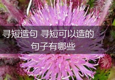 寻短造句 寻短可以造的句子有哪些