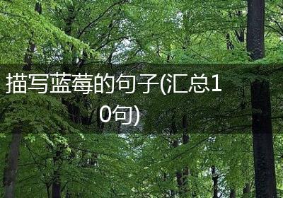 描写蓝莓的句子(汇总10句)