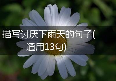描写讨厌下雨天的句子(通用13句)