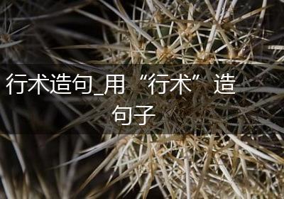 行术造句_用“行术”造句子