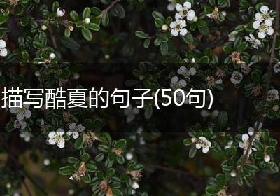 描写酷夏的句子(50句)