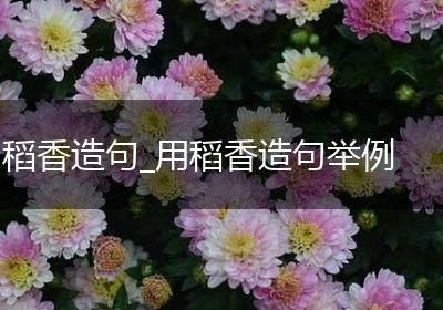 稻香造句_用稻香造句举例