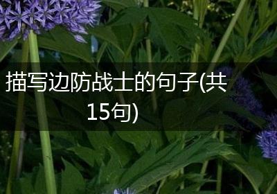 描写边防战士的句子(共15句)
