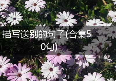 描写送别的句子(合集50句)