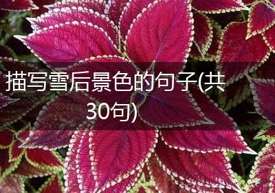 描写雪后景色的句子(共30句)