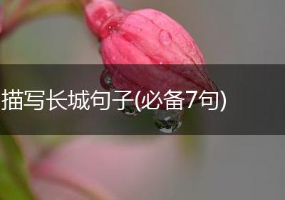 描写长城句子(必备7句)