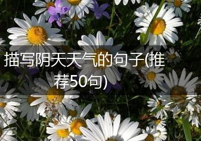 描写阴天天气的句子(推荐50句)