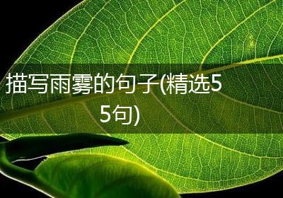 描写雨雾的句子(精选55句)