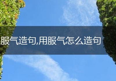 服气造句,用服气怎么造句