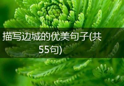 描写边城的优美句子(共55句)