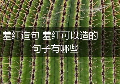 羞红造句 羞红可以造的句子有哪些