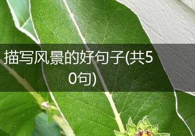 描写风景的好句子(共50句)