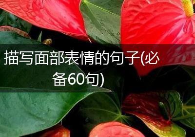 描写面部表情的句子(必备60句)