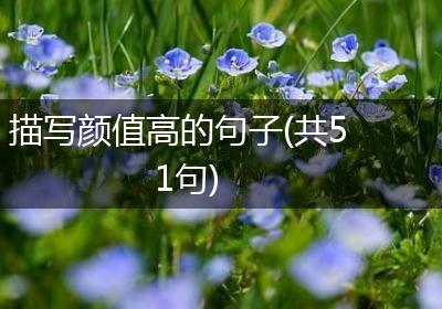 描写颜值高的句子(共51句)