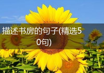 描述书房的句子(精选50句)