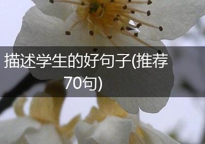 描述学生的好句子(推荐70句)