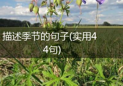 描述季节的句子(实用44句)