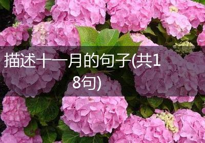 描述十一月的句子(共18句)