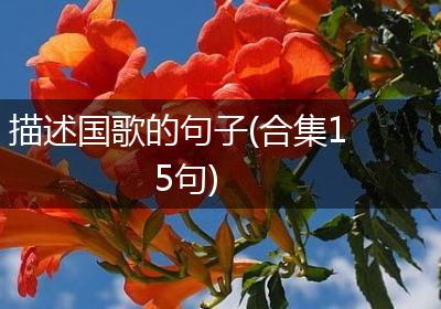 描述国歌的句子(合集15句)