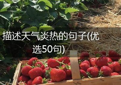 描述天气炎热的句子(优选50句)